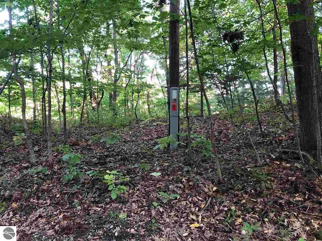 Listing photo 3 for LOT122 Crystal Downs Dr, Frankfort MI 49635