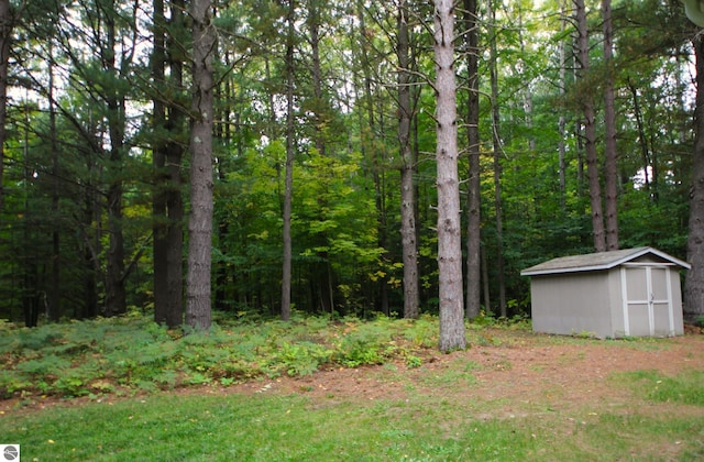 view of yard with a storage shed