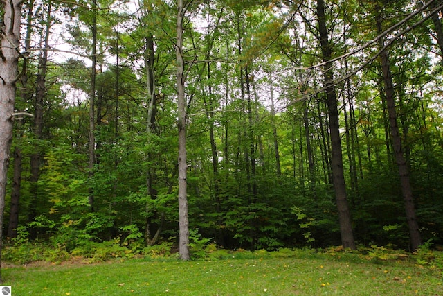 view of local wilderness