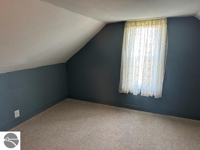 additional living space featuring lofted ceiling, a textured ceiling, and carpet