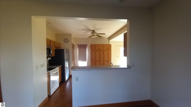 kitchen with stainless steel appliances, ceiling fan, and dark hardwood / wood-style flooring