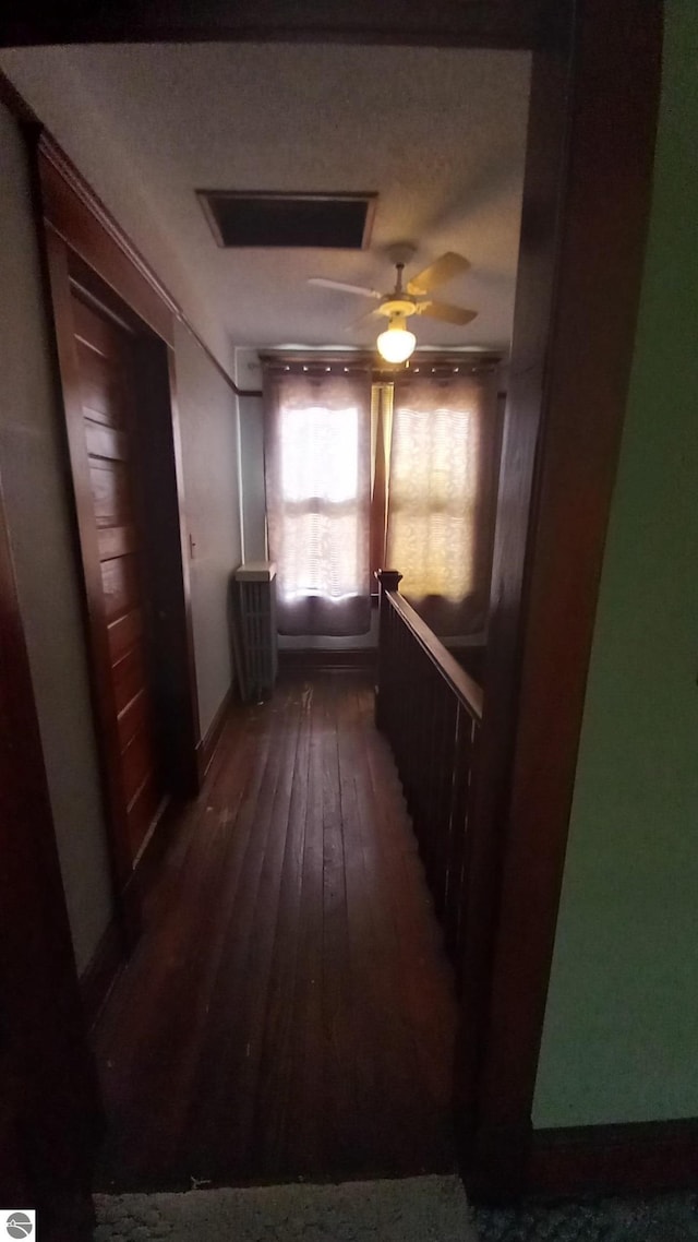 corridor with dark hardwood / wood-style flooring