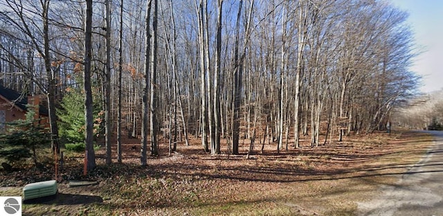 LOT1152 Michaywe, Gaylord MI, 49735 land for sale