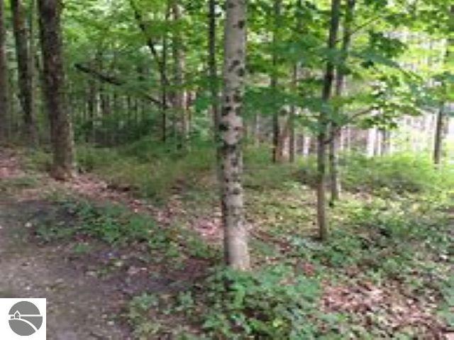 4167 Maple Hill Rd, Grawn, MI 49637