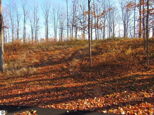 4167 Maple Hill Rd, Grawn, MI 49637