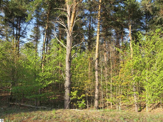 4167 Maple Hill Rd, Grawn, MI 49637