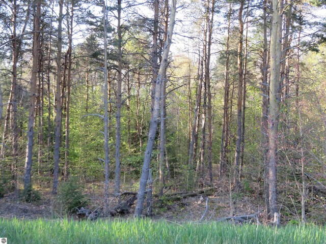 4167 Maple Hill Rd, Grawn, MI 49637