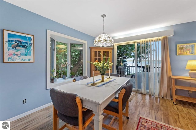 dining room featuring a notable chandelier, light wood-type flooring, and a healthy amount of sunlight