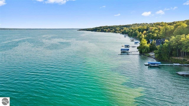 water view featuring a dock