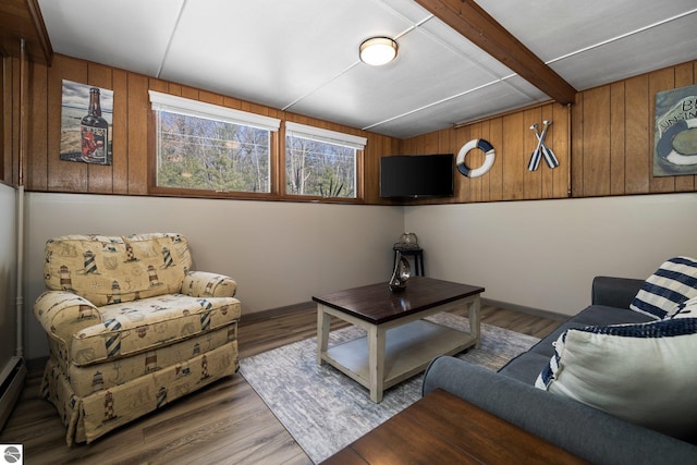 living room featuring wooden walls and dark hardwood / wood-style floors