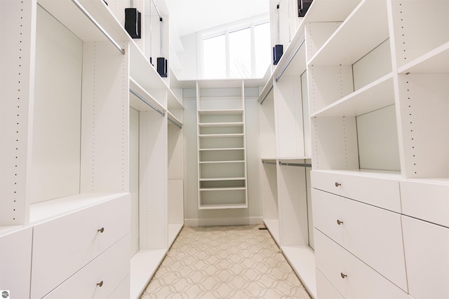 view of spacious closet