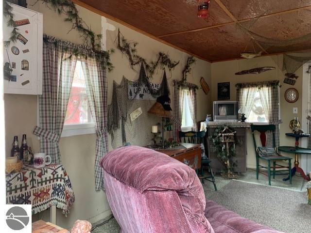 living room featuring plenty of natural light and carpet floors