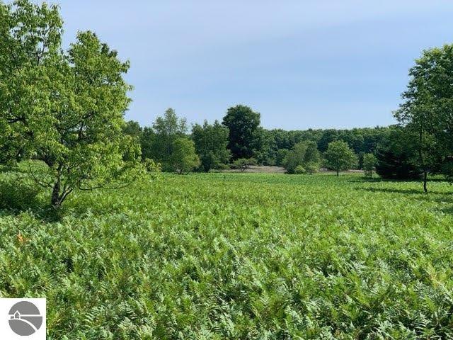 00 Vista Valley Trl, Mesick MI, 49668 land for sale