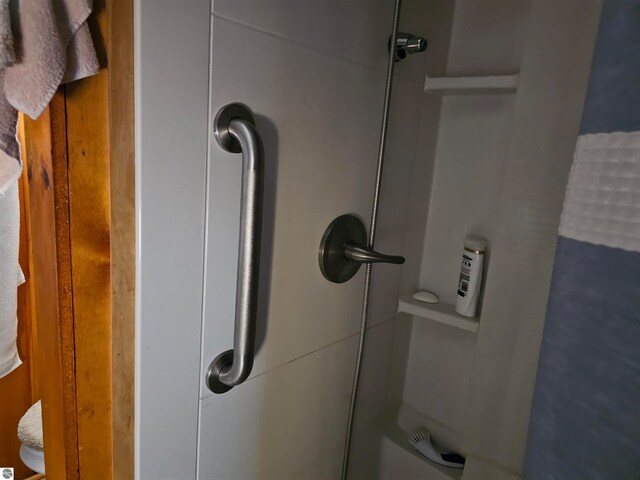 5934 Chippewa Trl, Hale, MI 48739 - interior details featuring walk in shower