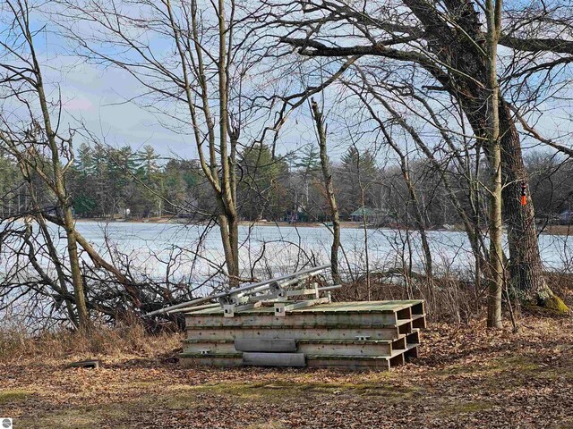 5934 Chippewa Trl, Hale, MI 48739 - exterior space with a view of trees