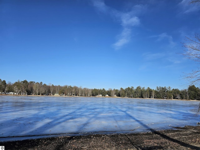 5934 Chippewa Trl, Hale, MI 48739 - water view with a wooded view