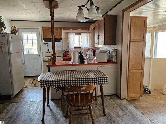 5934 Chippewa Trl, Hale, MI 48739 - kitchen featuring white appliances, tasteful backsplash, light wood finished floors, extractor fan, and crown molding