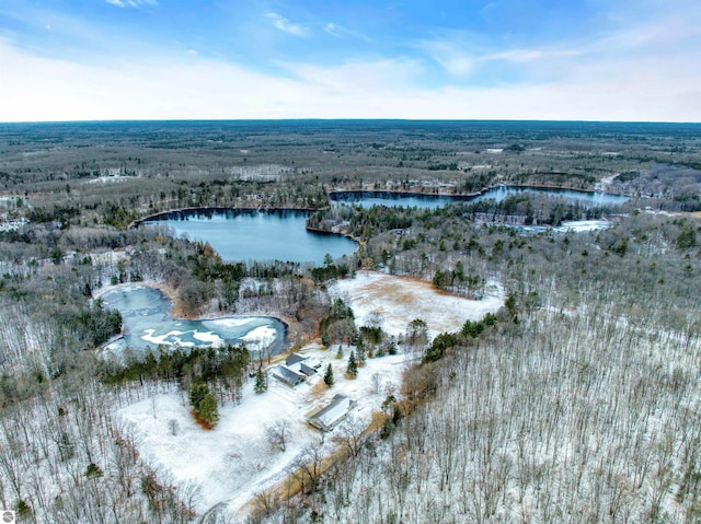 snowy aerial view with a water view