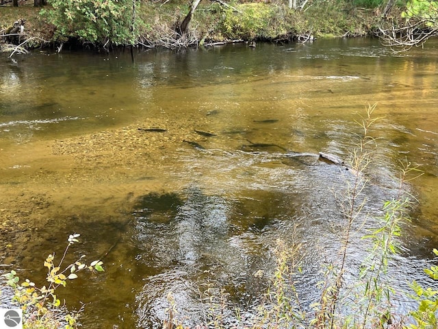 view of water feature