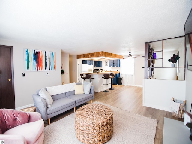 living room with ceiling fan and light hardwood / wood-style flooring