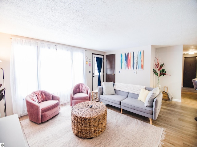 living room featuring a textured ceiling and light wood-type flooring