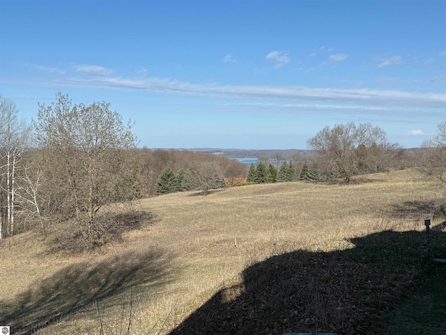 view of landscape