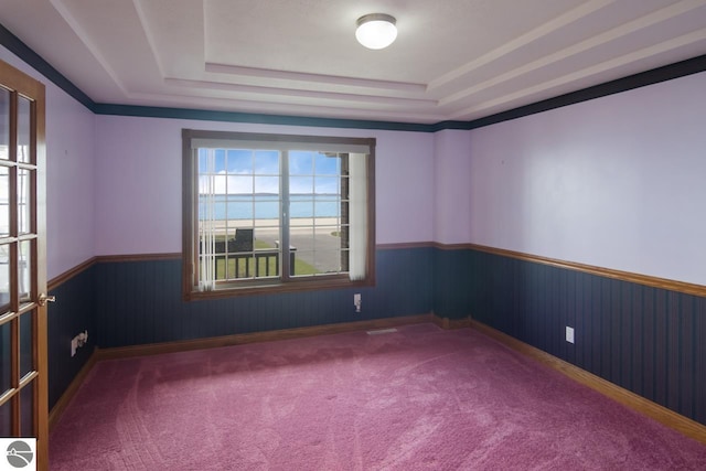 carpeted spare room with a raised ceiling