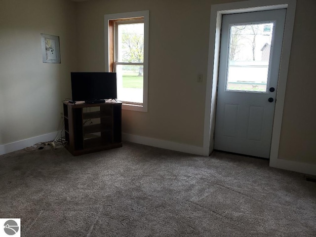 interior space with plenty of natural light and carpet