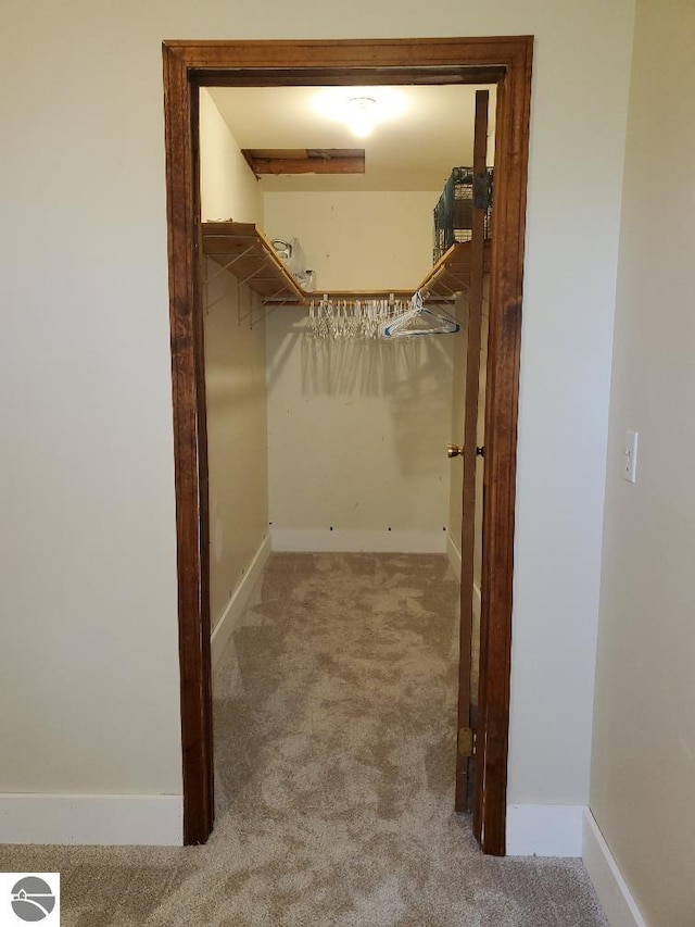 spacious closet with carpet