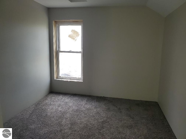 empty room featuring a wealth of natural light, carpet, and lofted ceiling