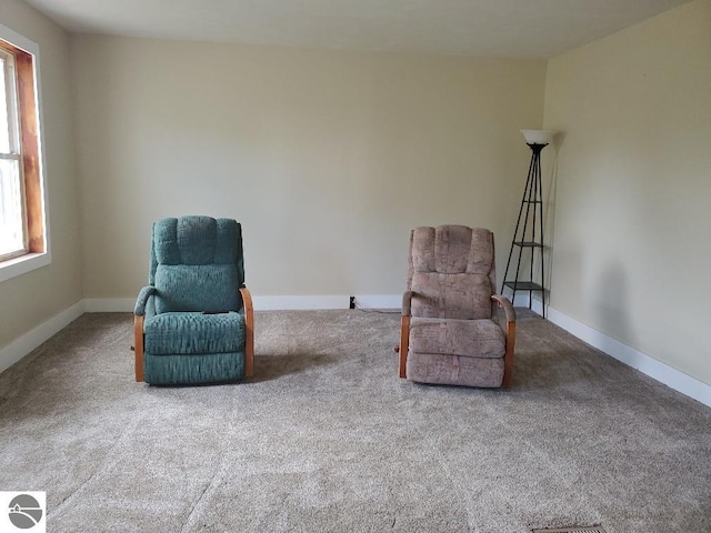 sitting room featuring carpet flooring