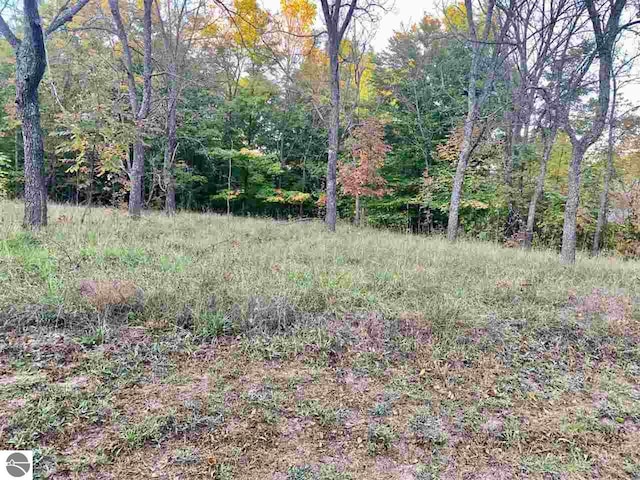 Listing photo 3 for LOT183 Troon S, Bellaire MI 49615