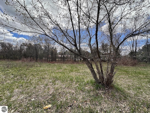 00 Thayer Ln, Bellaire MI, 49615 land for sale