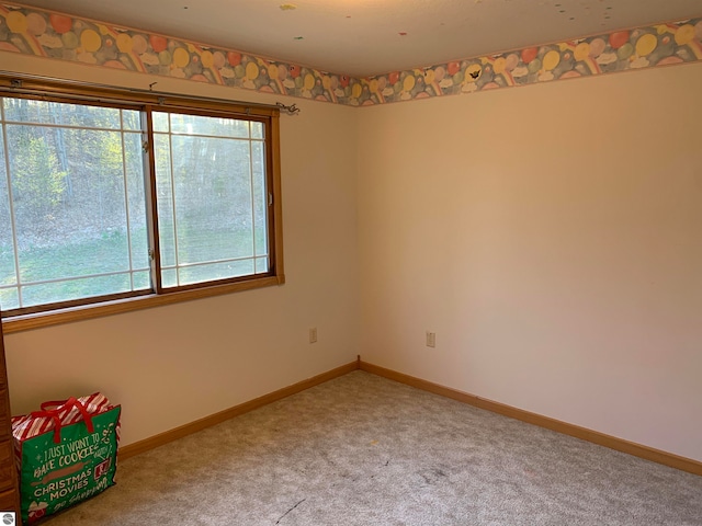 spare room with carpet floors