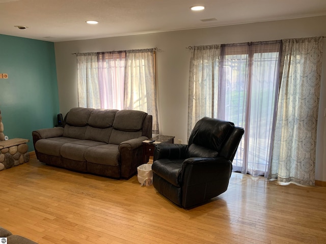 living room with a wealth of natural light and light wood-type flooring