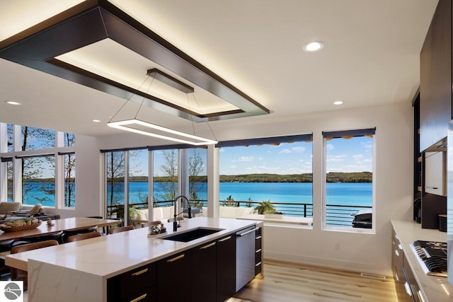 kitchen featuring a healthy amount of sunlight, appliances with stainless steel finishes, light hardwood / wood-style floors, and sink