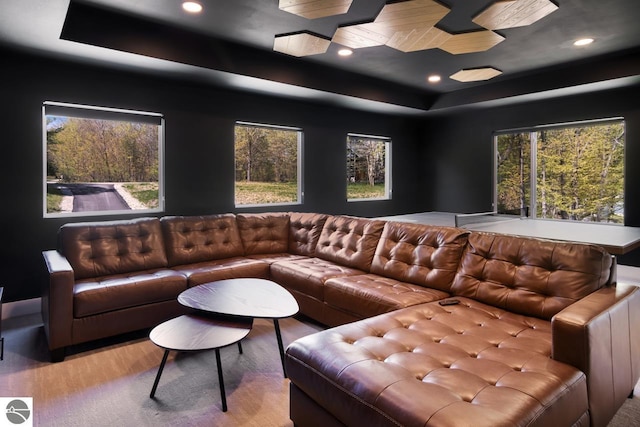 home theater room with hardwood / wood-style floors and a raised ceiling