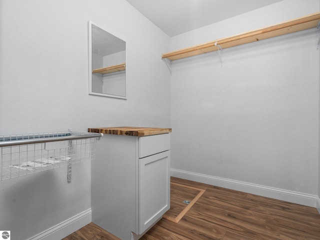 spacious closet with dark wood-type flooring