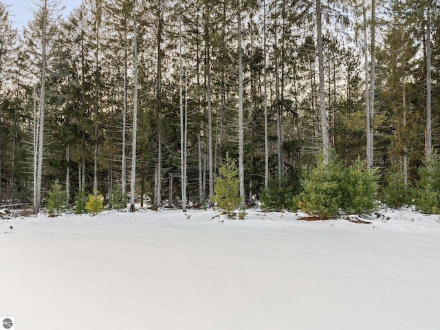 view of snow covered land