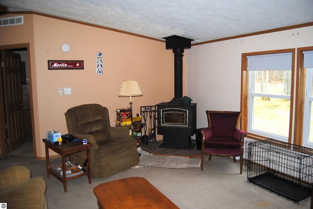 living room with a textured ceiling, a wood stove, and carpet floors