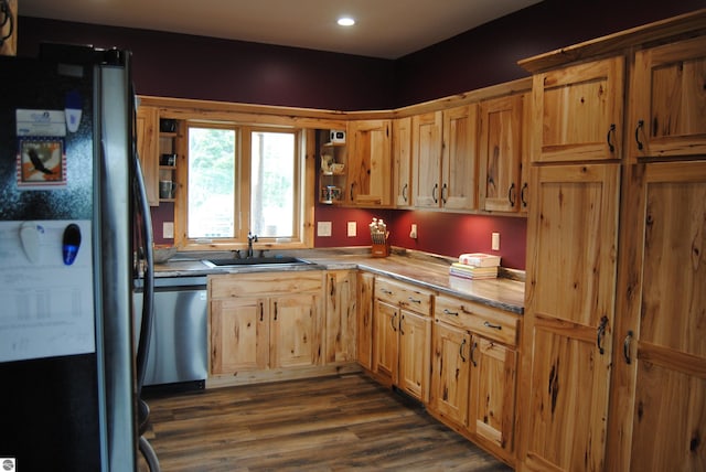 kitchen featuring dark hardwood / wood-style floors, sink, and stainless steel appliances