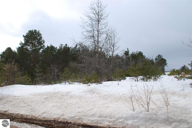 Listing photo 2 for SE Riley Rd, Kalkaska MI 49646