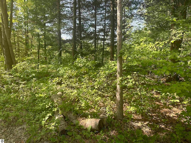 1866 W Ludington Dr, Farwell, MI 48622
