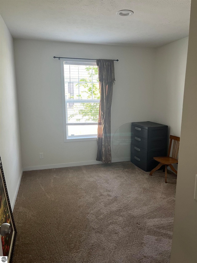 carpeted spare room with a textured ceiling