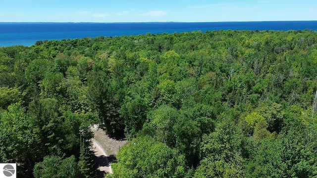 0 Timberlane Dr, Ellsworth MI, 49729 land for sale