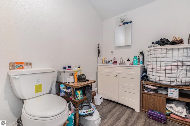 812 Forest Ave, Frankfort, MI 49635 - bathroom with hardwood / wood-style floors, lofted ceiling, vanity, and toilet