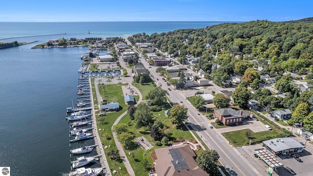 812 Forest Ave, Frankfort, MI 49635 - birds eye view of property with a water view