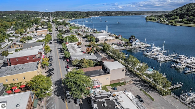 812 Forest Ave, Frankfort, MI 49635 - birds eye view of property with a water view