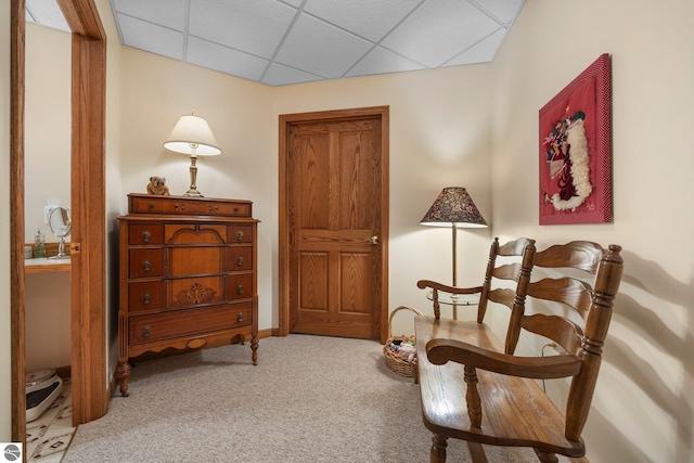 living area with carpet and a drop ceiling