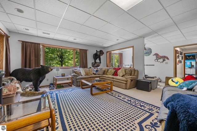 carpeted living room featuring a drop ceiling